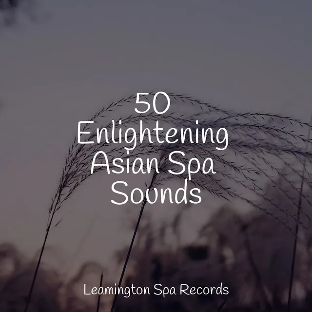 50 Enlightening Asian Spa Sounds