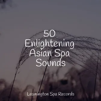 50 Enlightening Asian Spa Sounds by Rain Spa