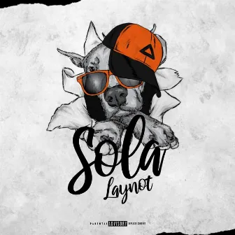 SOLA by Laynot