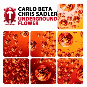 Underground Flower by Carlo Beta