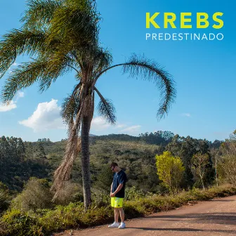 Predestinado by Krebs