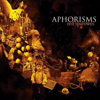 Aphorisms by Red Sparowes