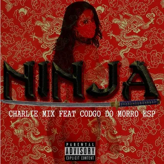 Ninja by Charlie Mix