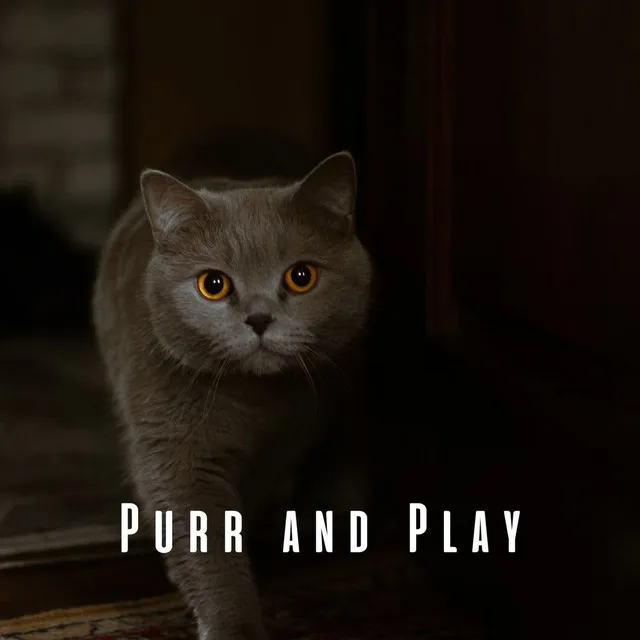 Purr and Play: Upbeat Piano for Playful Cats