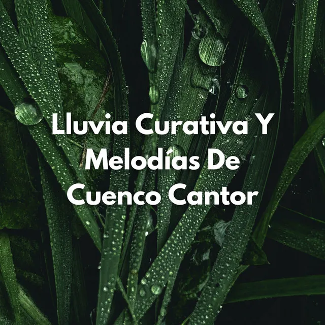 Medley De Lluvia De Cristal