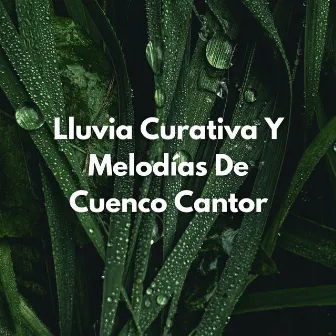 Lluvia Curativa Y Melodías De Cuenco Cantor by Zona de música de flauta relajante