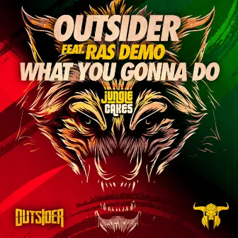 What You Gonna Do by Outsider