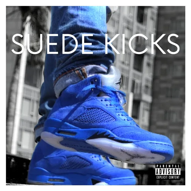 Suede Kicks