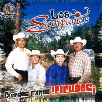 Grandes Exitos Picudos by Los Escorpiones