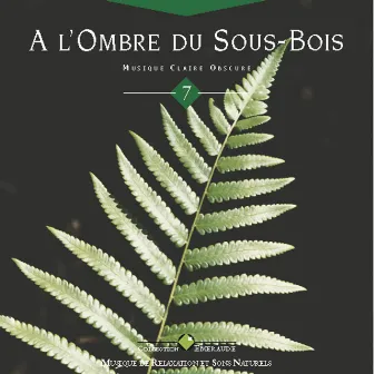 Emeraude: a l'ombre du sous bois by Olivier Renoir