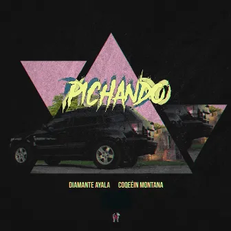 Pichando by Coqeéin Montana