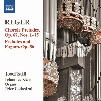 Reger: Organ Works, Vol. 14 by Josef Still