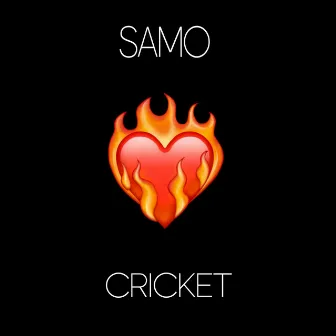 Cricket by samo