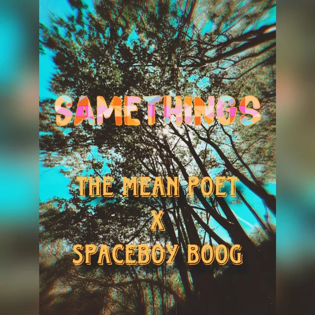 Samethings