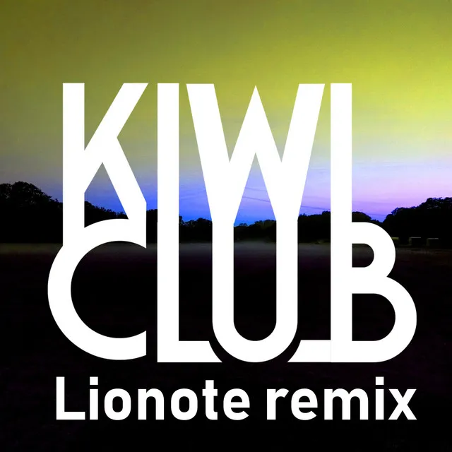 Track 14 (Lionote remix)