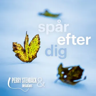 Spår efter dig by Perry Stenbäck