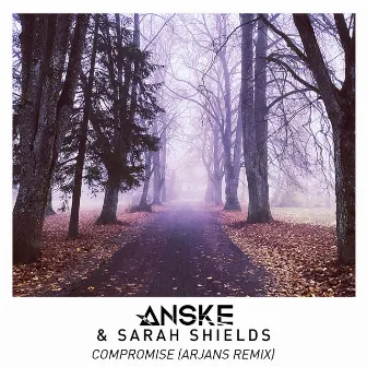 Compromise (Arjans Remix) by Sarah Shields