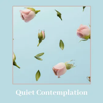 Quiet Contemplation (Blissful Time for Yoga) by Anti Stress Academy