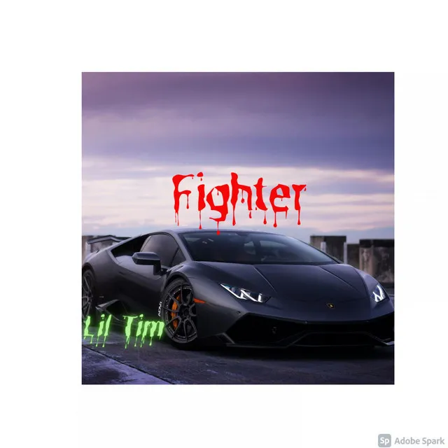 Fighter (Original)