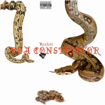 Boa Constrictor by Rocher