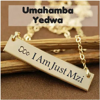 Umahamba Yedwa by I Am Just Mzi