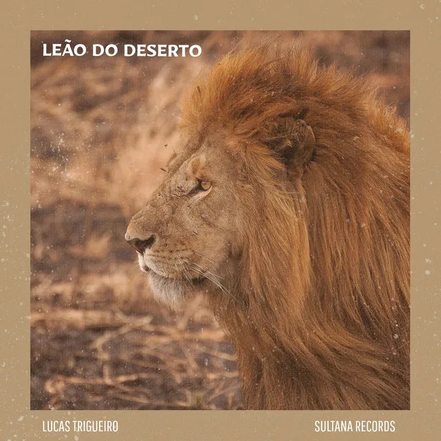 Leão do Deserto