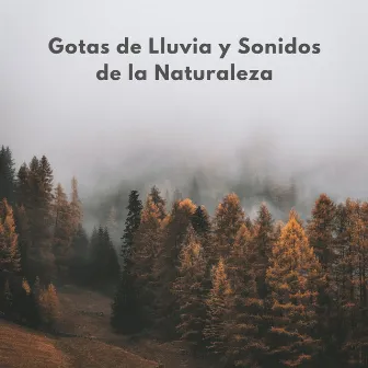 Gotas De Lluvia Y Sonidos De La Naturaleza by Sonidos de lluvia ASMR