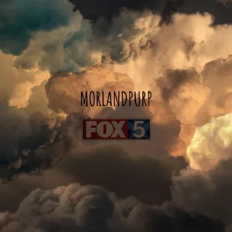 Fox 5 by Morlandpurp