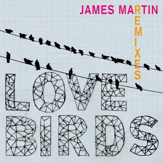 Lovebirds (Remixes) by James Martin