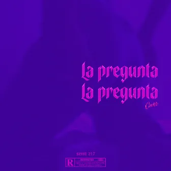 La Pregunta (Cover) by Seint217