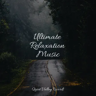 Ultimate Relaxation Music by Academia de Musica para Massagem Relaxamento