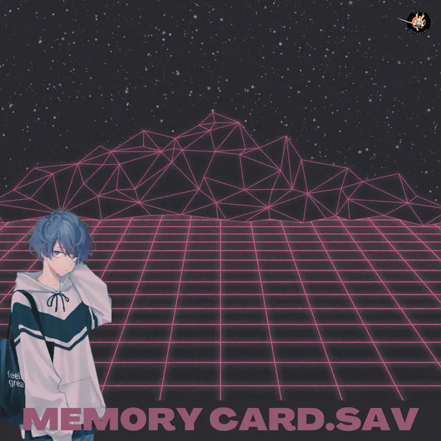 memorycard.sav