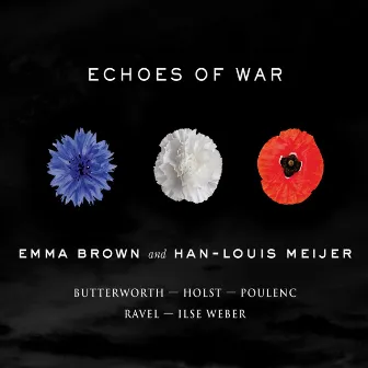 Echoes of War by Han-Louis Meijer