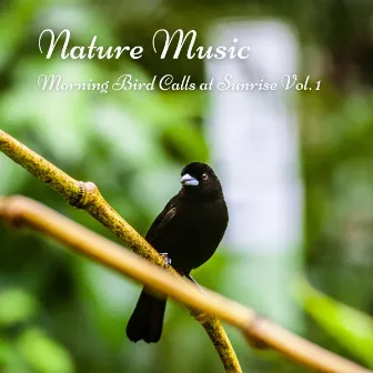 Nature Music: Morning Bird Calls at Sunrise Vol. 1 by Birds In The Morning