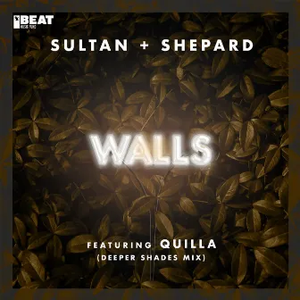 Walls (Deeper Shades Mix) by Sultan + Shepard