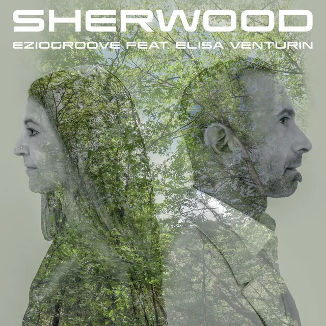 Sherwood - Radio Edit