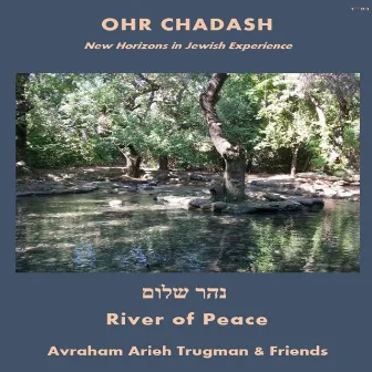 River of Peace by Avraham Arieh Trugman