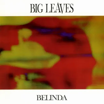 Belinda by big leaves