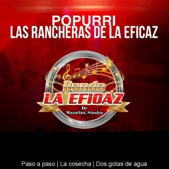 Popurrí Las Rancheras De La Eficaz: Paso a Paso / La Cosecha / Dos Gotas De Agua by Banda la Eficaz