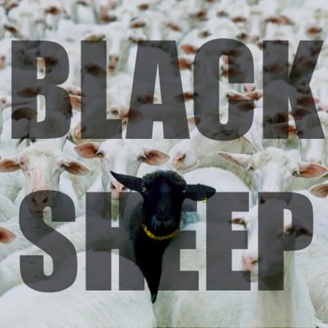 Black Sheep