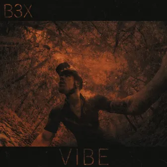 Vibe by B3X