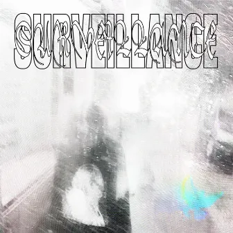 SURVEILLANCE by Lucy Lohan