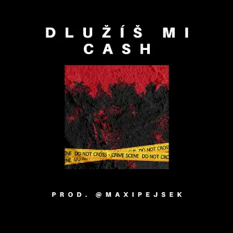 DLUŽÍŠ MI CASH by Albánec 616