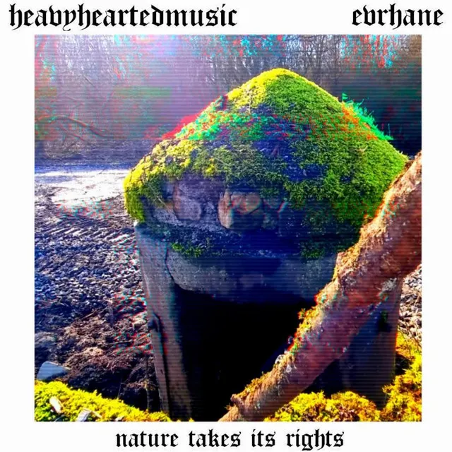 Nature Takes Its Rights