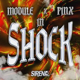 In Shock by Module