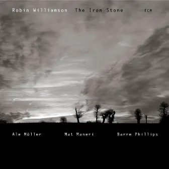 The Iron Stone by Robin Williamson