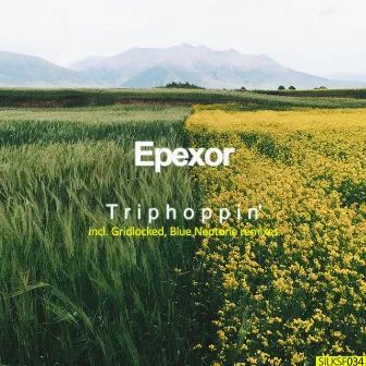 Triphoppin' by Epexor