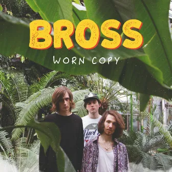 Worn Copy by Bross