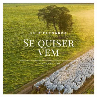 SE QUISER VEM by Luiz Fernando