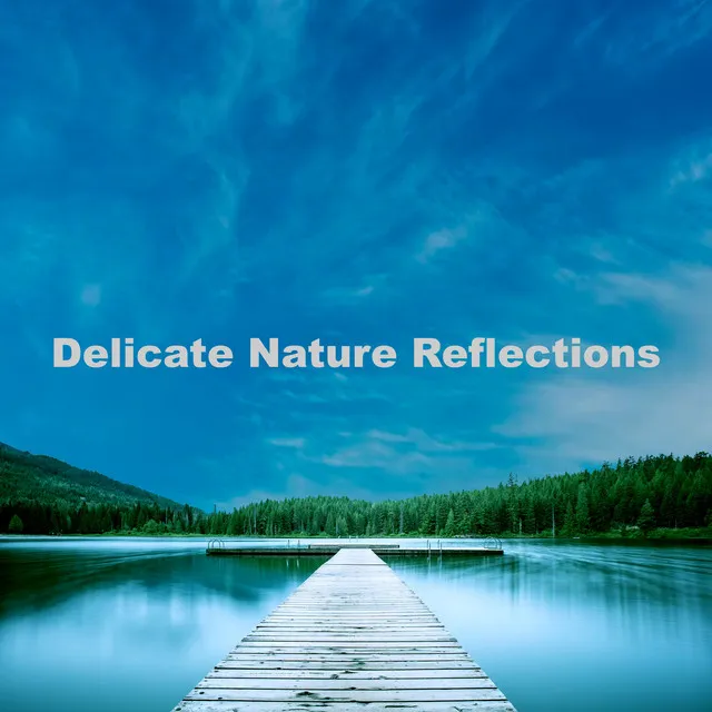 Delicate Nature Reflections